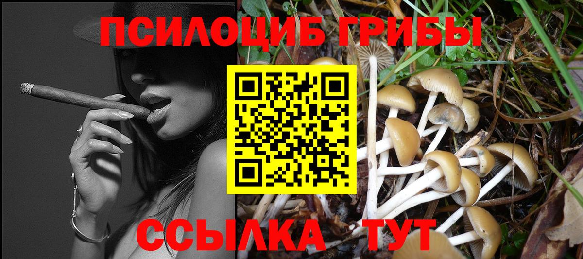 Ижевск  Галлюциногенные грибы ЛСД  Псилоцибиновые грибы Cubensis  Вход с VPN 