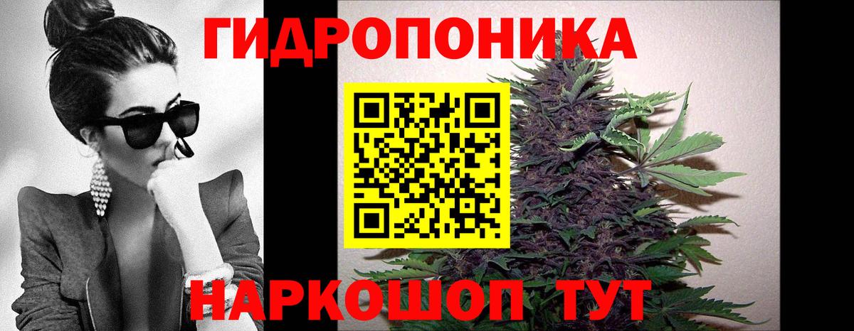 Бошки Шишки White Widow  Бошки марихуана ГИДРОПОН  Конопля White Widow  Ижевск  Марихуана LSD WEED  Вход с VPN 